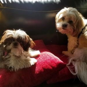 Meet your Posher, Mary ann